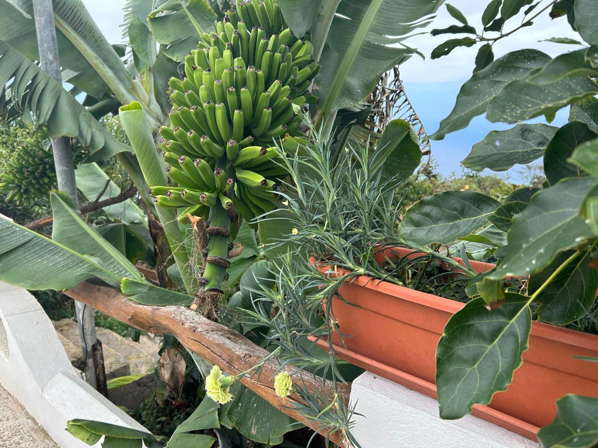 Genovés Casa Rural Los Barros מראה חיצוני תמונה